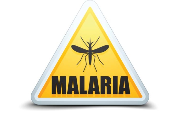 Debunking Common Malaria Myths