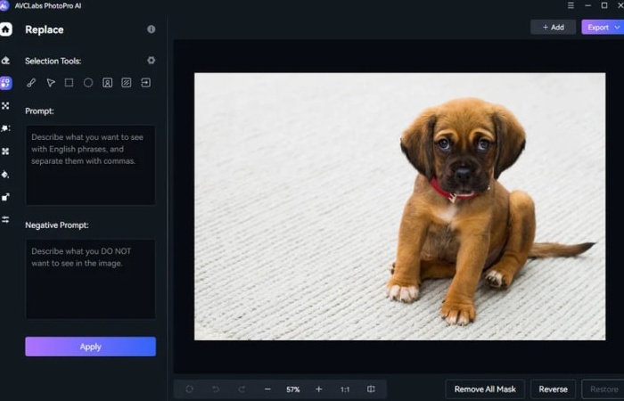 Limitations of Gramhir.pro