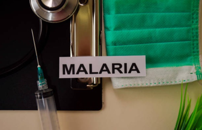 Personal Lifestyle Tips for Malaria Awareness